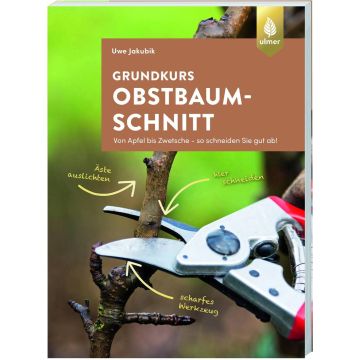 Grundkurs Obstbaumschnitt