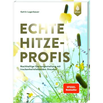 Echte Hitzeprofis