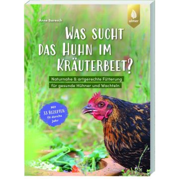 Was sucht das Huhn im Kräuterbeet