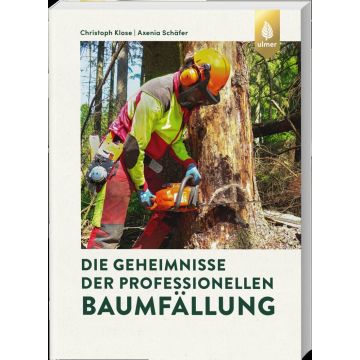 Die Geheimnisse der professionellen Baumfällung