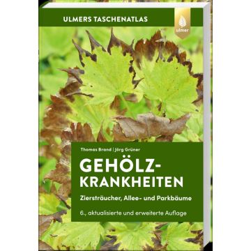 Gehölzkrankheiten