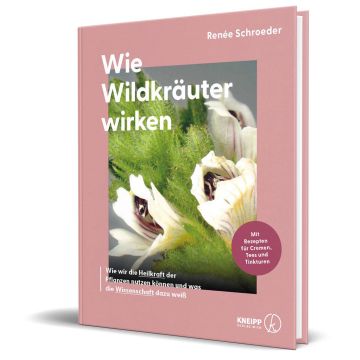 Wie Wildkräuter wirken
