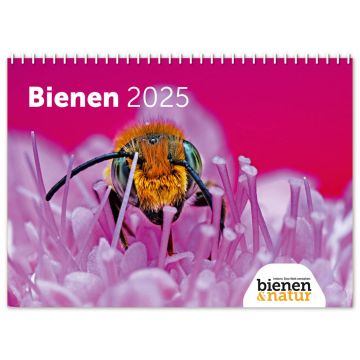 Bienen Wandkalender 2025