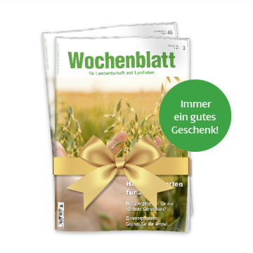 Print Geschenkabo