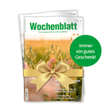 Print Geschenkabo