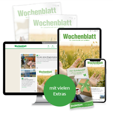 Plus-Paket Upgrade für Abonnenten