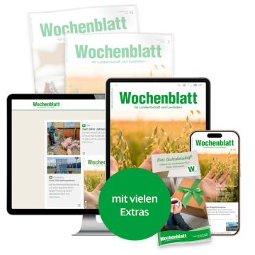 Plus-Paket Upgrade für Abonnenten